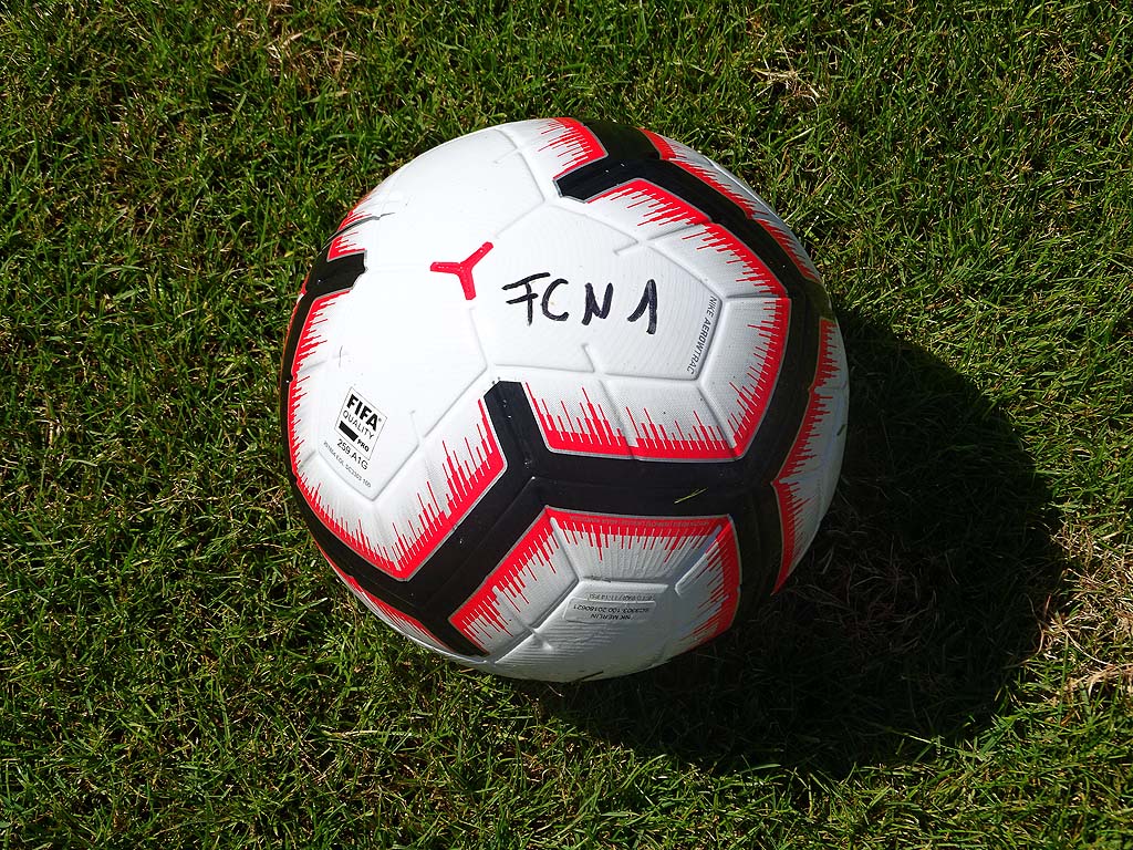 FCN1 Ball